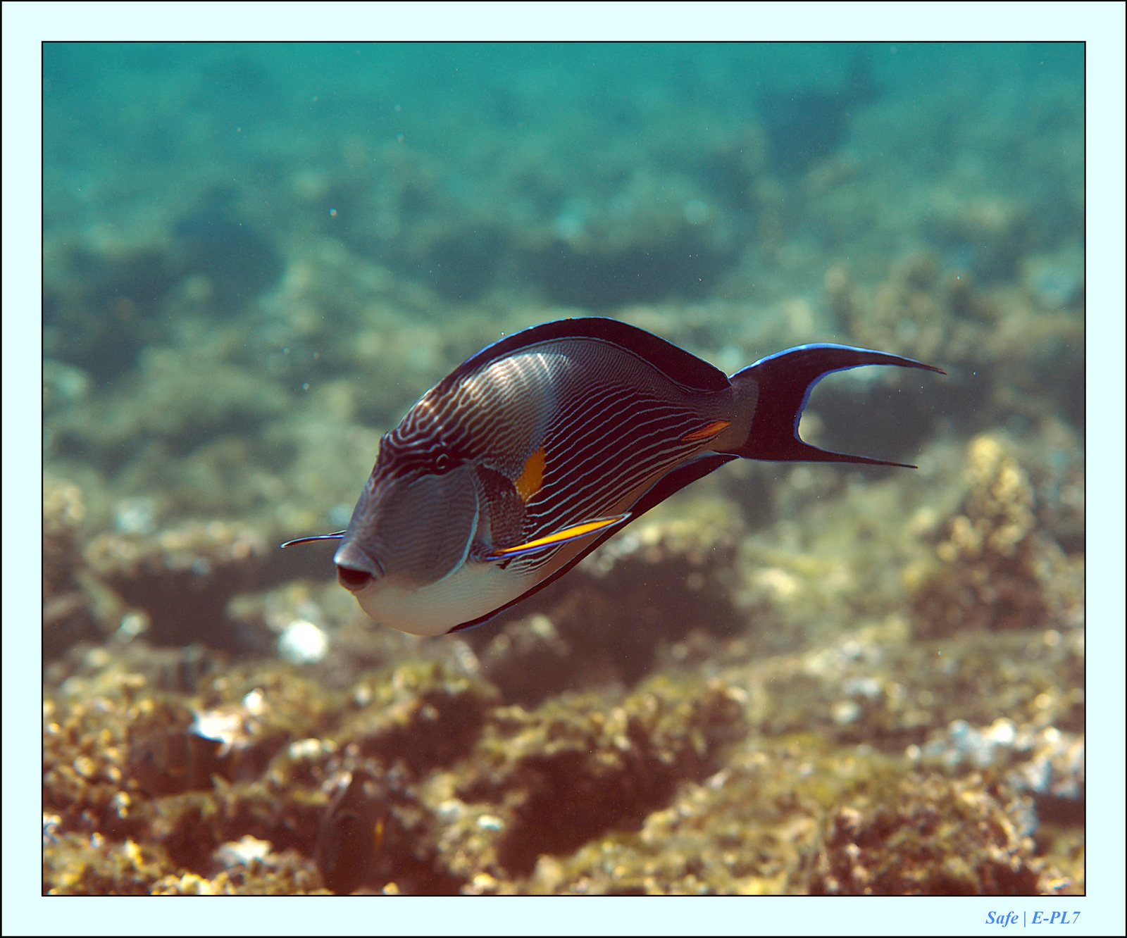 Hurghada - Juillet 2021 - 108